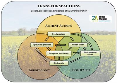 Setting-up place-based and transdisciplinary research to foster agrifood system transformation: Insights from the Aliment'Actions project in western France